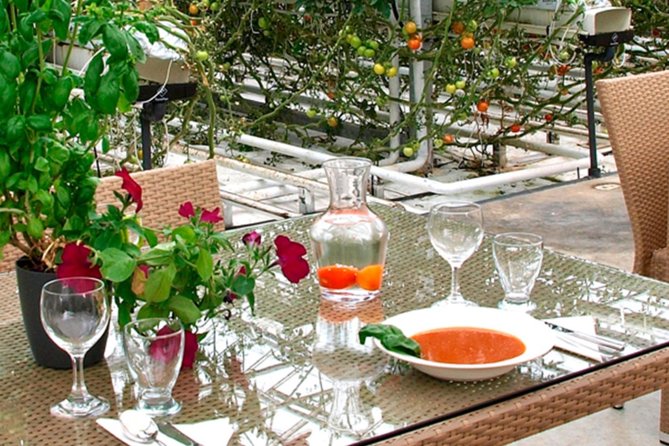 Private Golden Circle, Sky Lagoon and Friðheimar Greenhouse Lunch - Is $3,215 Good Value for Two?