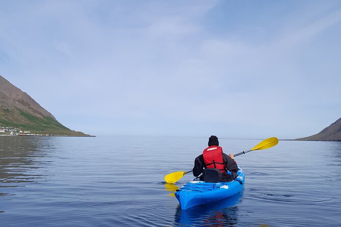 Private: Guided kayak tour in Siglufjörður / Siglufjordur. - Key points at a glance