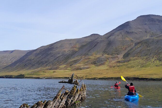 Private: Guided kayak tour in Siglufjörður / Siglufjordur. - Why kayak Siglufjörður?