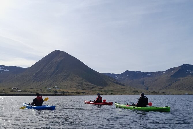 Private: Guided kayak tour in Siglufjörður / Siglufjordur. - A private tour for up to six people