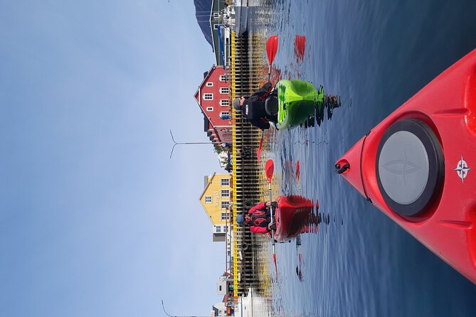 Private: Guided kayak tour in Siglufjörður / Siglufjordur. - Rain, cold, and practical comfort