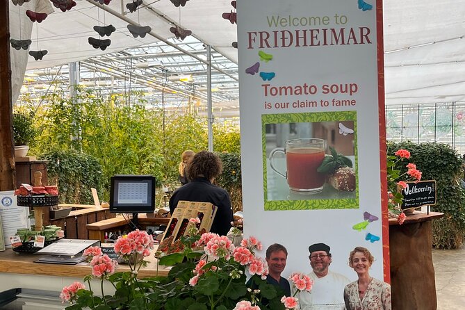 Private Guided Tour Golden Circle & Friðheimar Greenhouse Iceland - What the driver-guide adds to the day