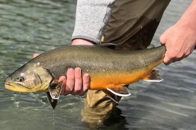 Private Lake and River Fishing Tour from Reykjavik - A fishing day that begins near Reykjavik