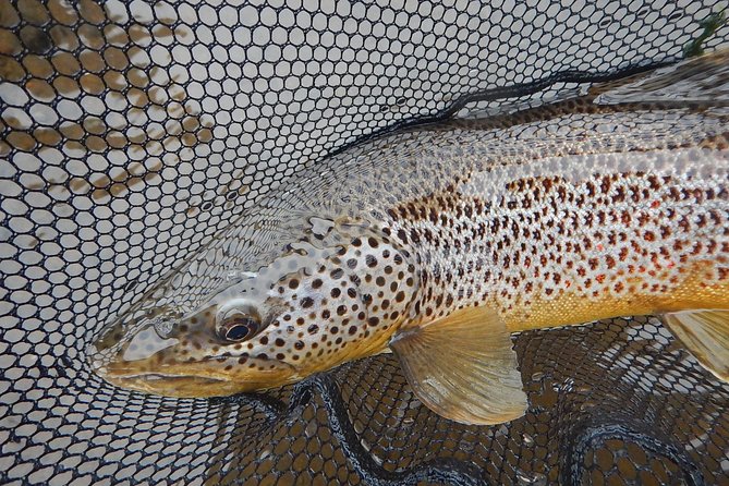 Private Lake and River Fishing Tour from Reykjavik - What is included, and what you still need to bring