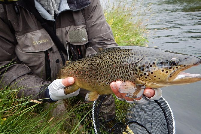 Private Lake and River Fishing Tour from Reykjavik - Is $768.94 per person good value?