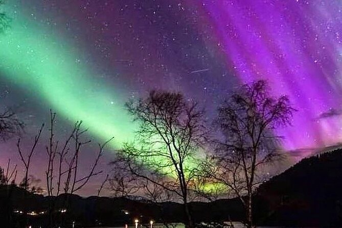 Private Northern Lights Tour From Reykjavik - Why a Private Vehicle Can Be Worth the Price
