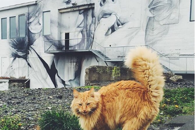 Private Reykjavik Cat Walking Tour - Kattakaffihúsið, the heart of the experience
