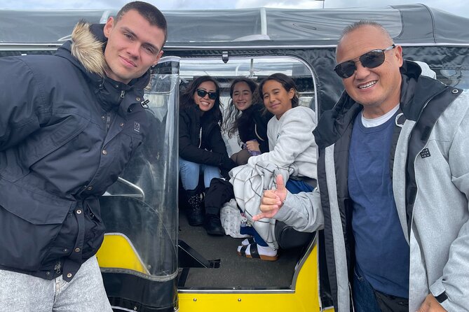 Private Reykjavík Tuk Tuk – City Highlights Tour - What the $255 group price really means
