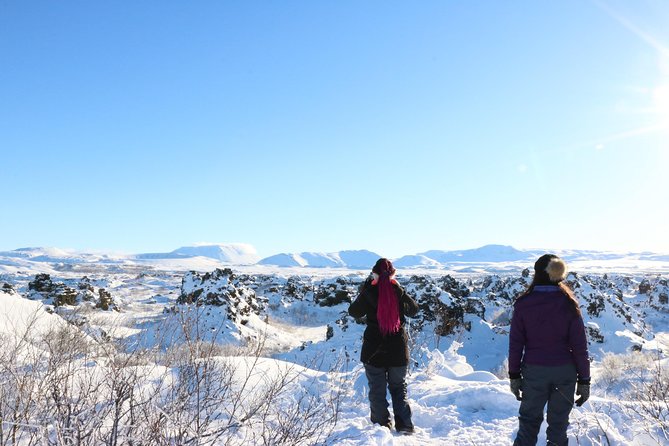 Private Tour in Northern Iceland from Akureyri - Godafoss: a strong first stop