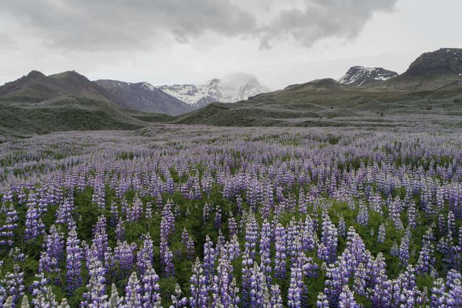 Private Tour to Landmannalaugar. Explore the Highlands - The Highland road and the Laki eruption area