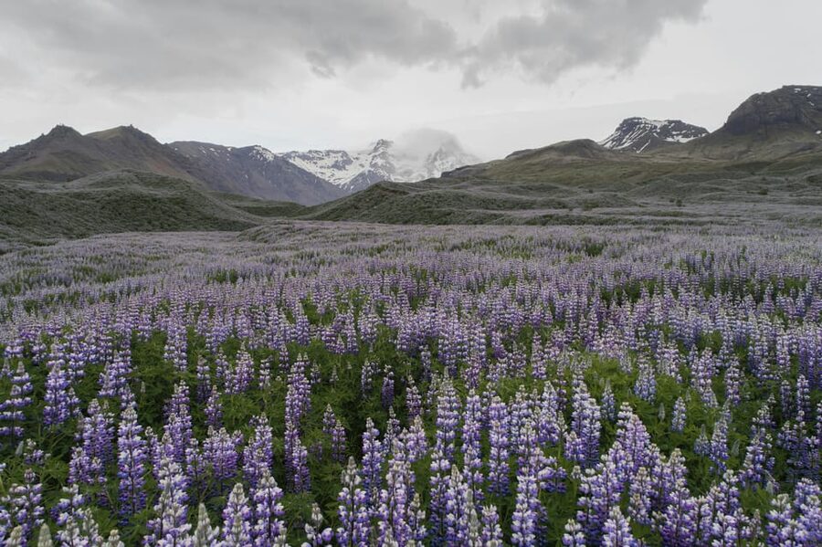 Private Tour to Landmannalaugar. Explore the Highlands - Hnausapollur, the blue crater lake