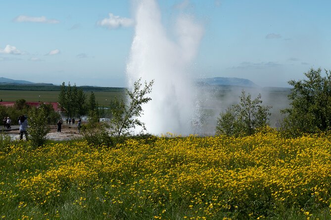 Private Visit Golden Circle Essentials - The $1,311 price and who gets good value
