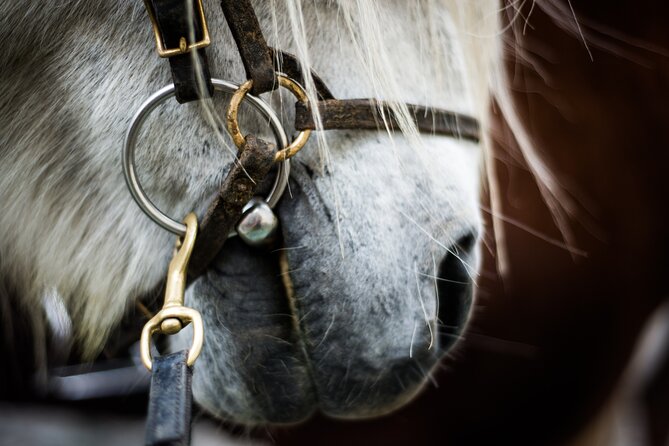 Red Lava Horse Riding Tour From Reykjavik - Why this is a good Reykjavik side trip