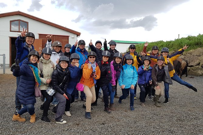 Red Lava Horse Riding Tour From Reykjavik - The Icelandic horse makes the difference