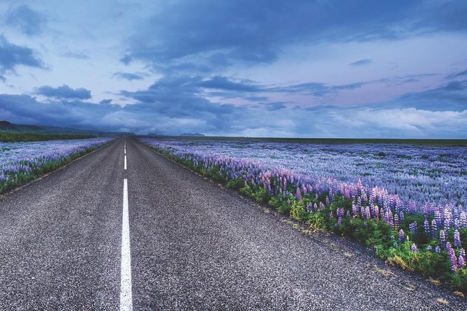 Rent Unlimited High Speed pocket Wifi in Iceland - Returning the orange box at the airport