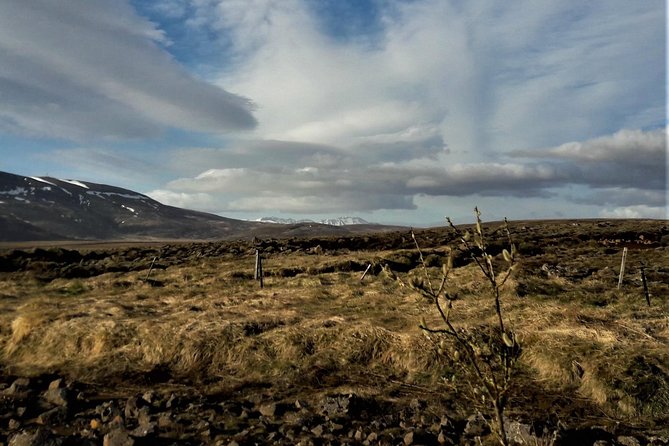 Reykjanes peninsula- Geopark and much more. Private tour - A private vehicle changes the pace