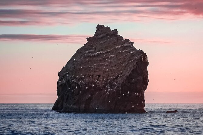Reykjanes Peninsula Private tour Iceland - Krysuvik shows Iceland’s heat at work