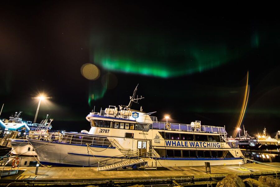 Reykjavik: 2-Hour Northern Lights by Boat with Backup Plan - What the two-hour search is really like