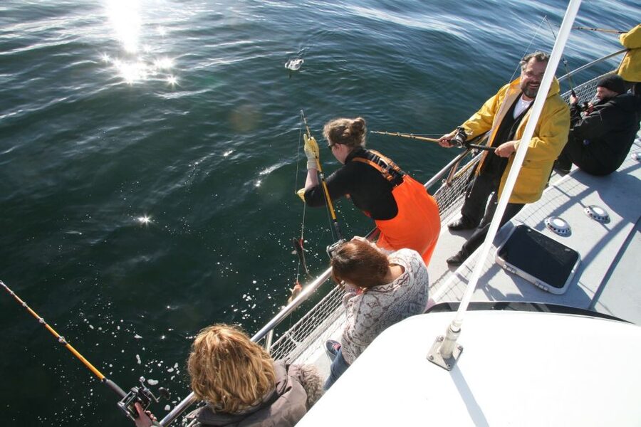 Reykjavik: 3-Hour Sea Angling Gourmet Experience Tour - Fishing the grounds of Faxaflói