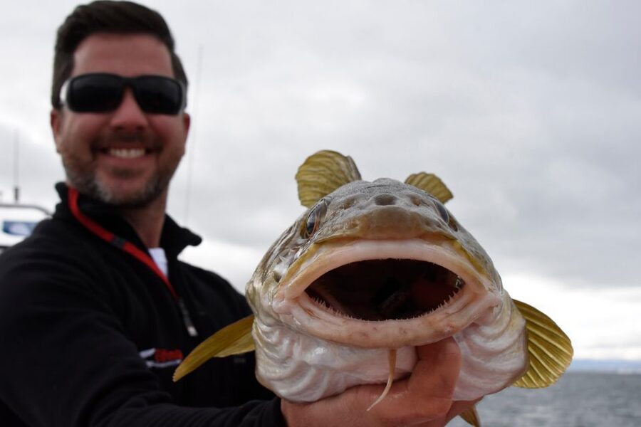 Reykjavik: 3-Hour Sea Angling Gourmet Experience Tour - Turning the catch into lunch on board