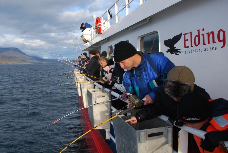 Reykjavik: 3-Hour Sea Angling Gourmet Experience Tour - Seasickness, weather, and comfort
