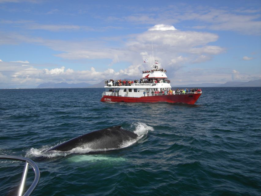 Reykjavik: ATV Ride & Whale Watching Boat Tour - Morning pickup and the route to the ATV base