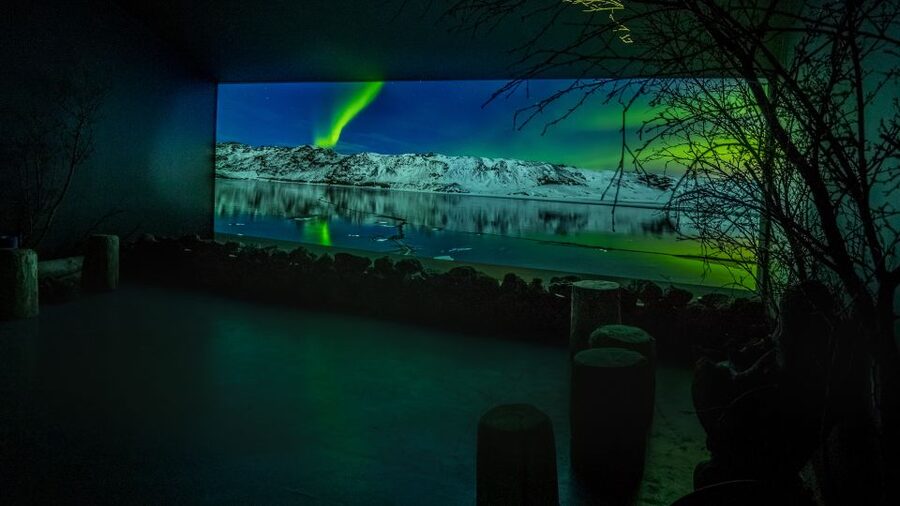 Reykjavik: Aurora Reykjavik The Northern Lights Center Entry - The 30-minute cinema film gives you Iceland’s best skies