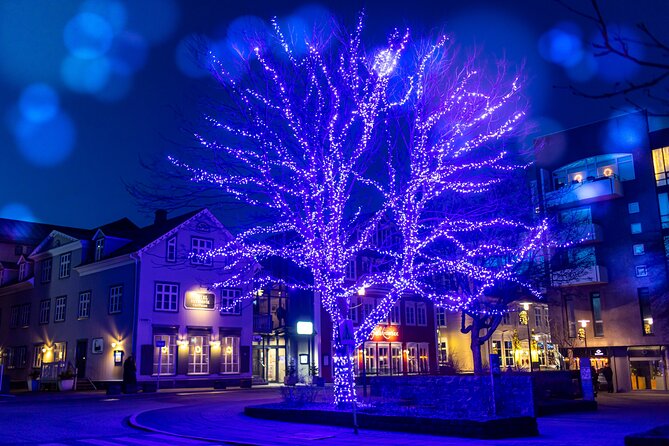 Reykjavik Christmas Walking Tour - Austurvöllur Square and Iceland’s Christmas tree