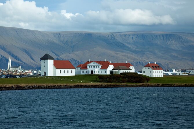 Reykjavik City Private Tour - Perlan and the hot-water tanks beneath it