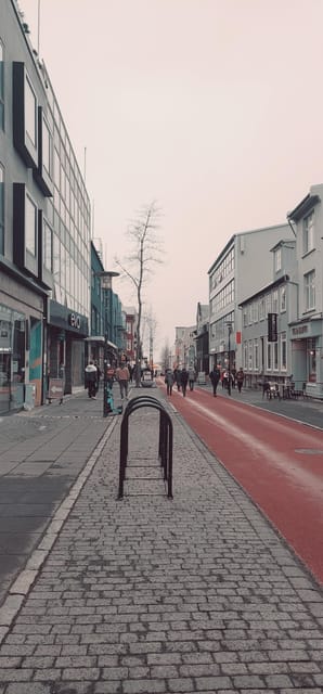 Reykjavik City Private Tour: Perlan, Arbaer & City Landmarks - A private way to get your bearings in Reykjavik