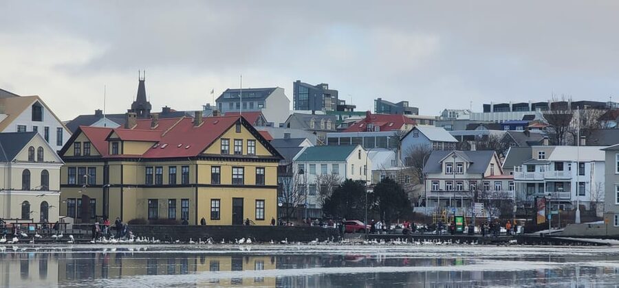 Reykjavik City Private Tour: Perlan, Arbaer & City Landmarks - The short second stop and room for your interests
