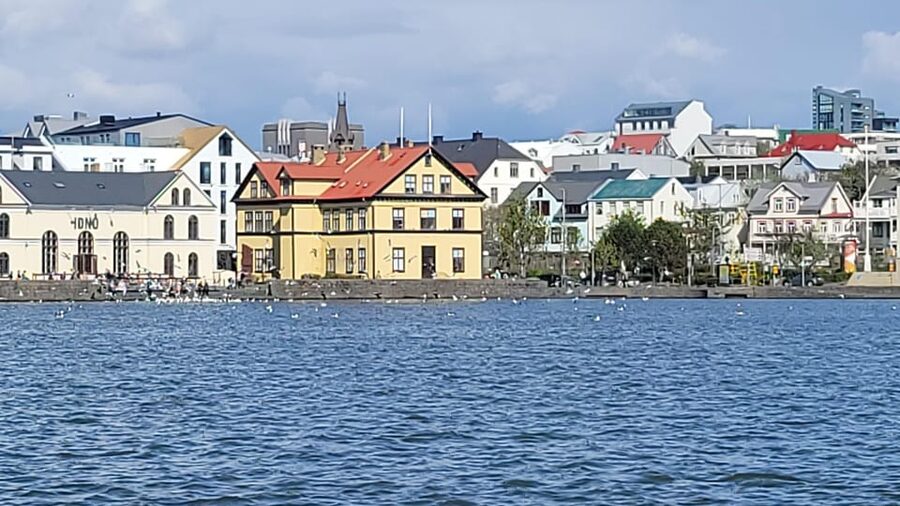 Reykjavik City Private Tour: Perlan, Arbaer & City Landmarks - The guide can shape the experience