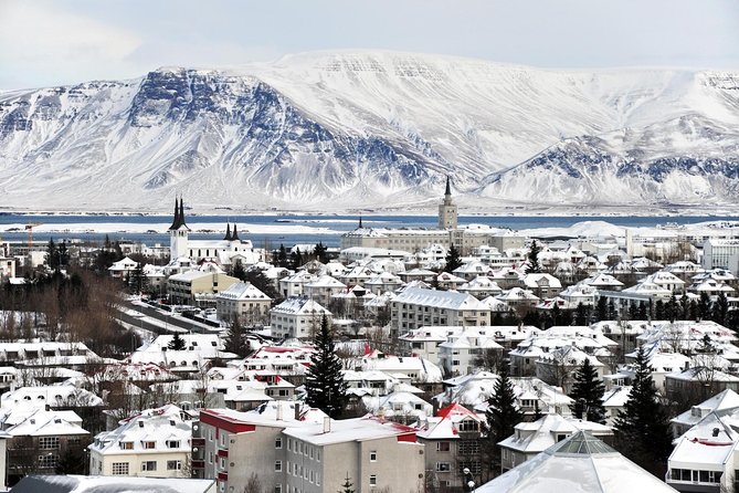 Reykjavik City Walking Tour - Finishing beside Harpa and the Sun Voyager