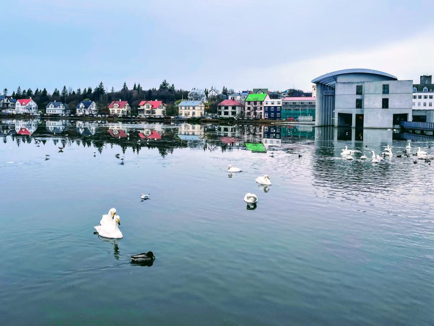 Reykjavik: City Walking tour in Small Group with Local Guide - What the guides add to the walk