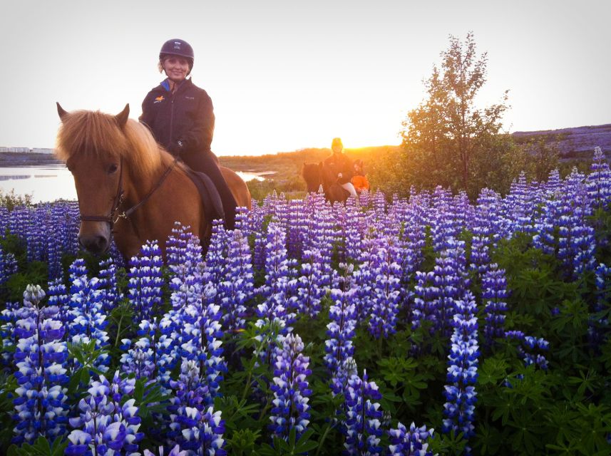Reykjavik: Evening Sleipnir Horse Riding Tour with Pickup - From Reykjavík to the Viking Horses stable