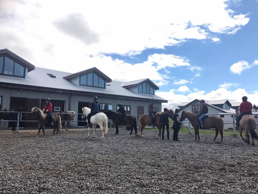 Reykjavik: Evening Sleipnir Horse Riding Tour with Pickup - Tea, coffee, hot chocolate, and kleina afterward