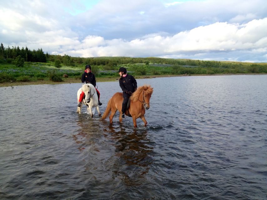 Reykjavik: Evening Sleipnir Horse Riding Tour with Pickup - Practical tips for a smoother evening
