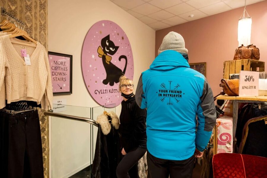 Reykjavik: Feline-Focused City Walking Tour - Lake Tjörnin and the city between the stories