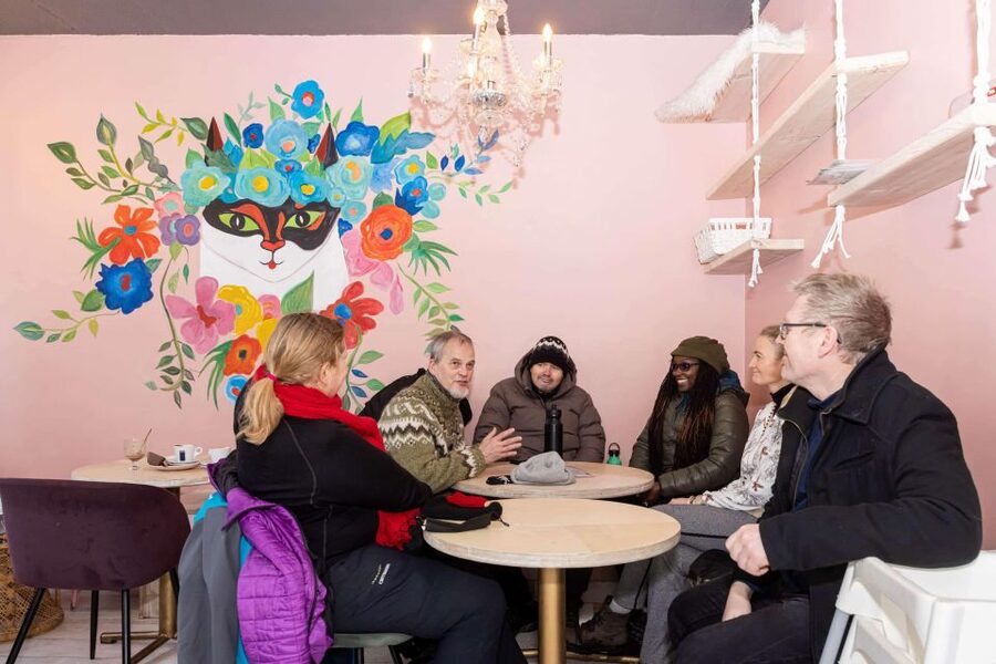 Reykjavik: Feline-Focused City Walking Tour - The guides make the difference