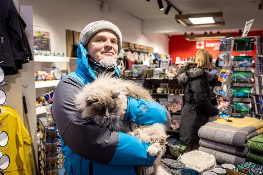 Reykjavik: Feline-Focused City Walking Tour - Starting at Ingólfstorg