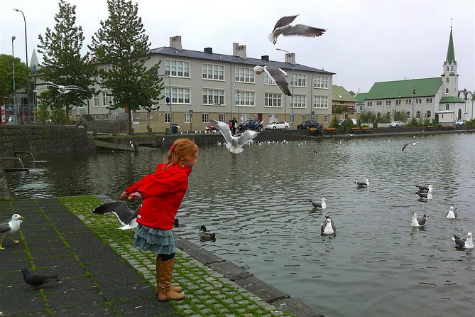 Reykjavik Food Tour and City Walk - PRIVATE TOUR - The walk, pace, and sightseeing balance