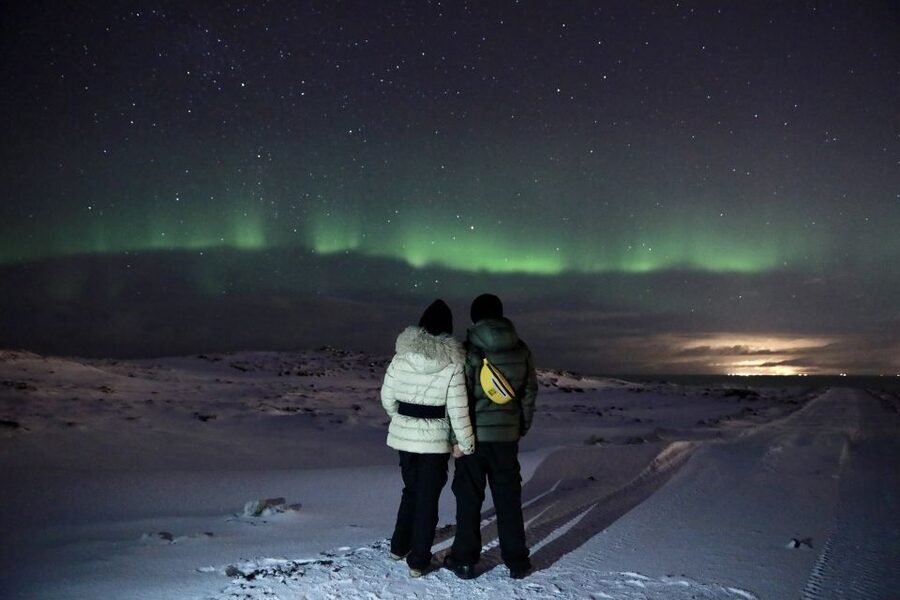 Reykjavík: Golden Circle, Blue Lagoon, and Aurora Tour - The Blue Lagoon: your warmest two hours