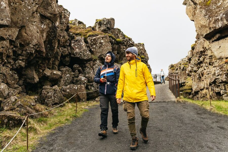 Reykjavik: Golden Circle, Crater & Blue Lagoon Minibus Tour - Key points at a glance