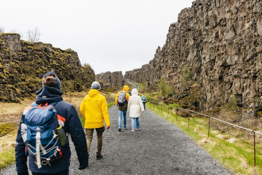 Reykjavik: Golden Circle, Crater & Blue Lagoon Minibus Tour - The Blue Lagoon: the right ending to a cold day