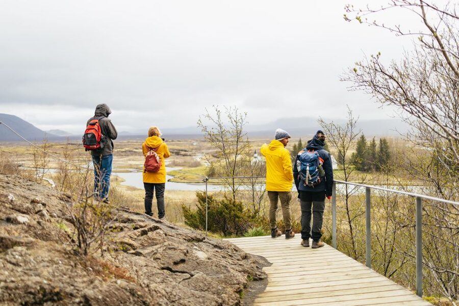 Reykjavik: Golden Circle, Crater & Blue Lagoon Minibus Tour - Is $252 a fair price?