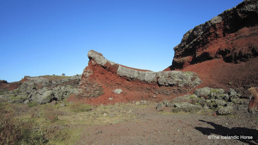 Reykjavík: Horse Riding Tours - Key points to know before you ride