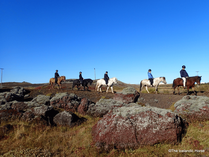 Reykjavík: Horse Riding Tours - Riding through the Redhill volcanic area