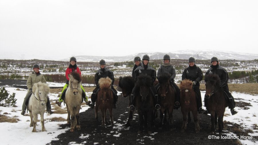 Reykjavík: Horse Riding Tours - The tölt is the memorable part