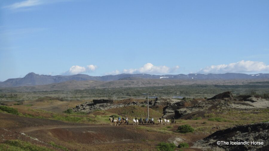 Reykjavík: Horse Riding Tours - Why the small group improves the ride