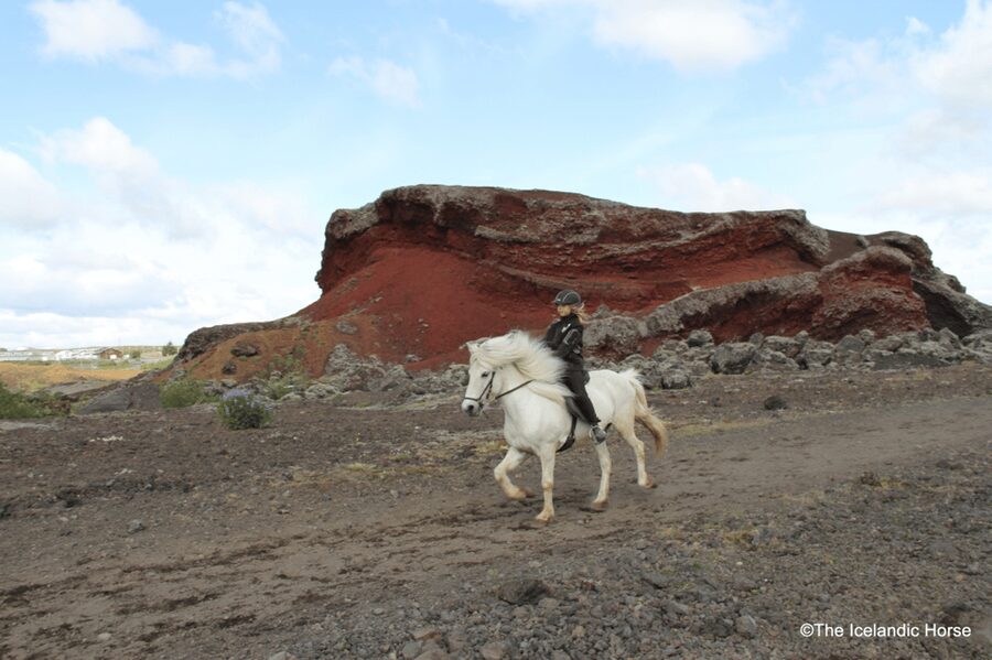 Reykjavík: Horse Riding Tours - Who may want a different Iceland excursion?
